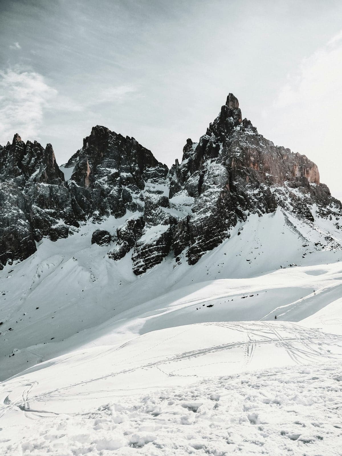The jagged dark rock spires of the Pale di San Martino, the sharp Cimon della Pala at right, rising above open snowfields marked with ski tracks under a pale winter sky