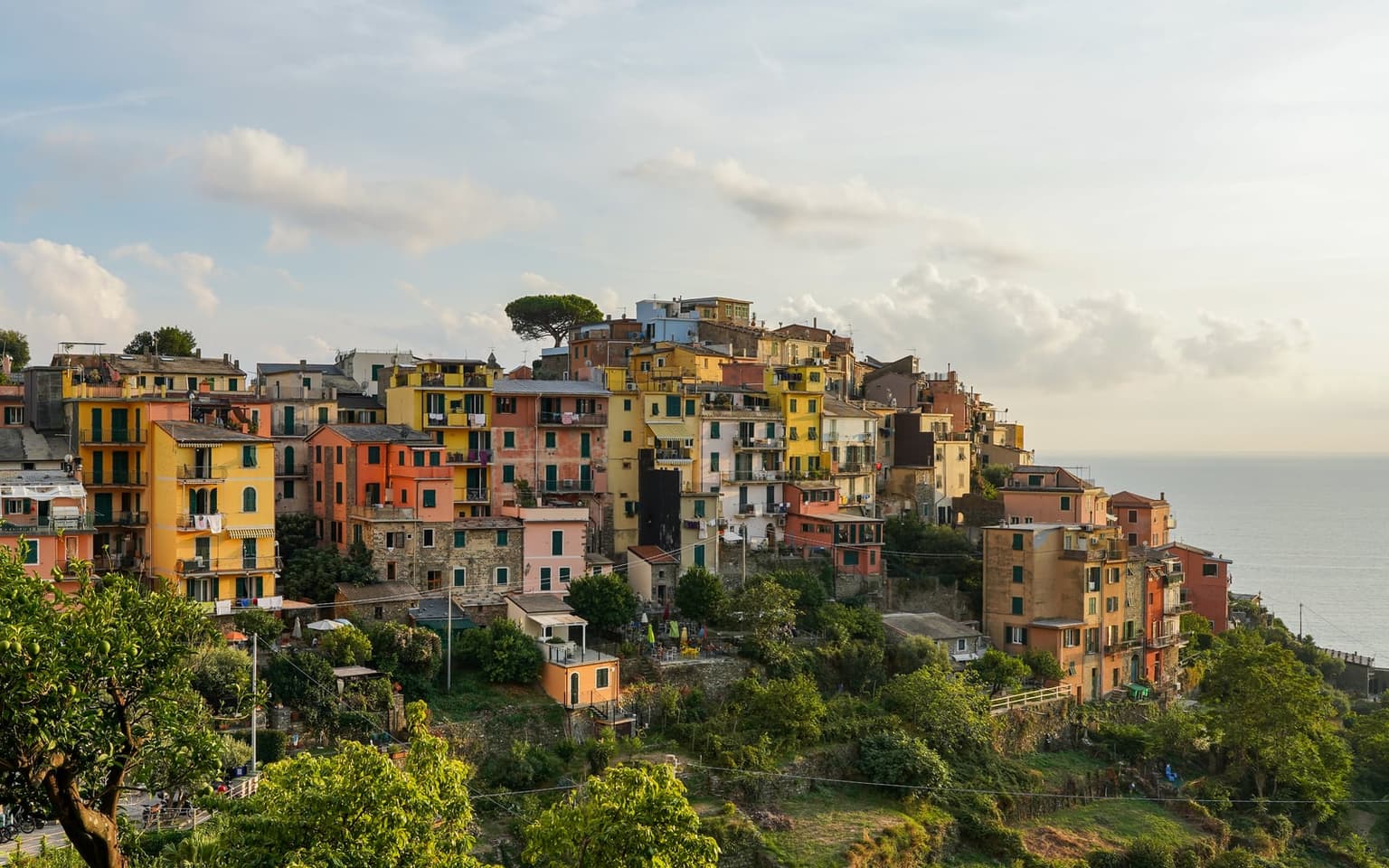 Tall yellow, orange and pink houses of Corniglia stacked along a hilltop ridge in soft late-afternoon light, with a stone pine on the crest, green terraces below and the sea on the right.
