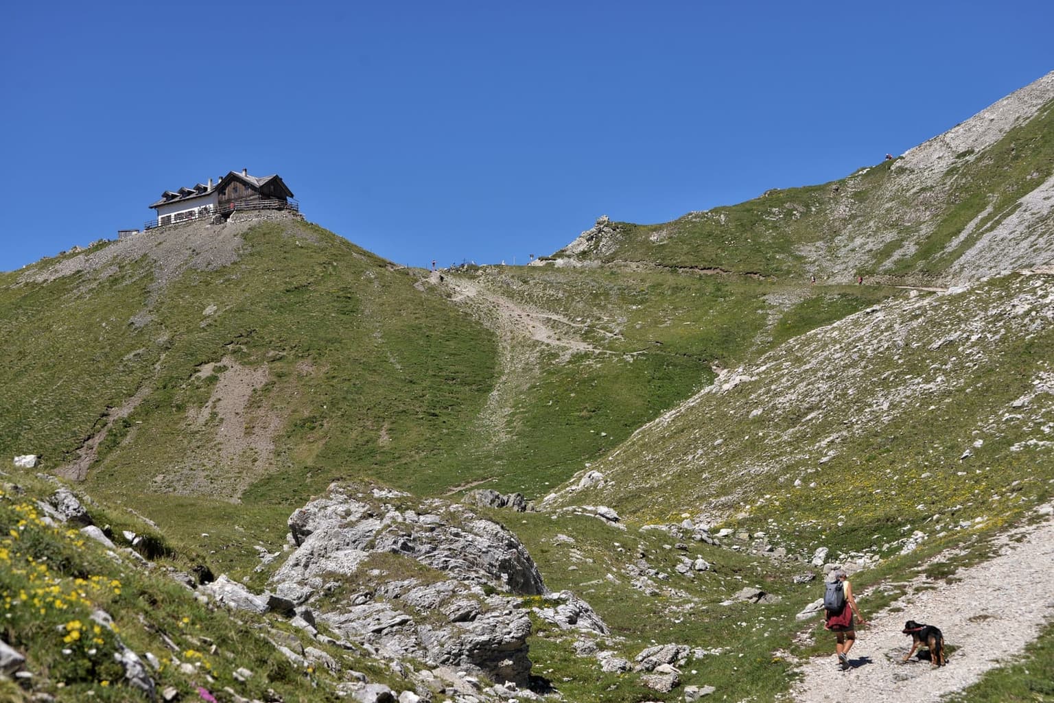 A hiker with a small daypack walks a dog up a gravel path through grassy limestone slopes in the Dolomites, a white-and-timber mountain hut on the rise above
