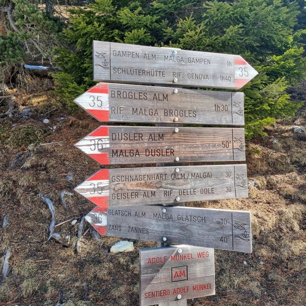 A trail signpost on the Adolf Munkel Weg showing route numbers 35 and 36, pointing toward Gschnagenhardt, Geisler Alm, Brogles Alm, and Dusler Alm