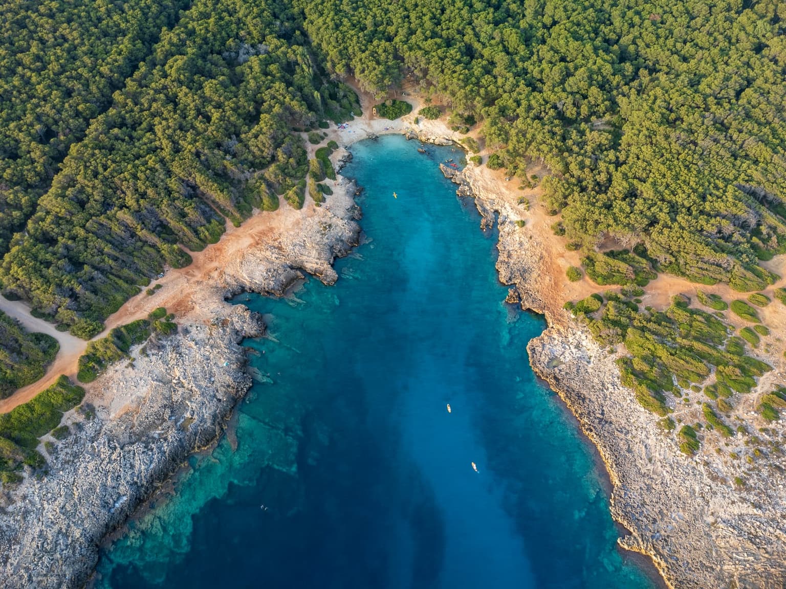The narrow rocky inlet at Porto Selvaggio between pine slopes, seen straight down from a drone with kayaks on the water