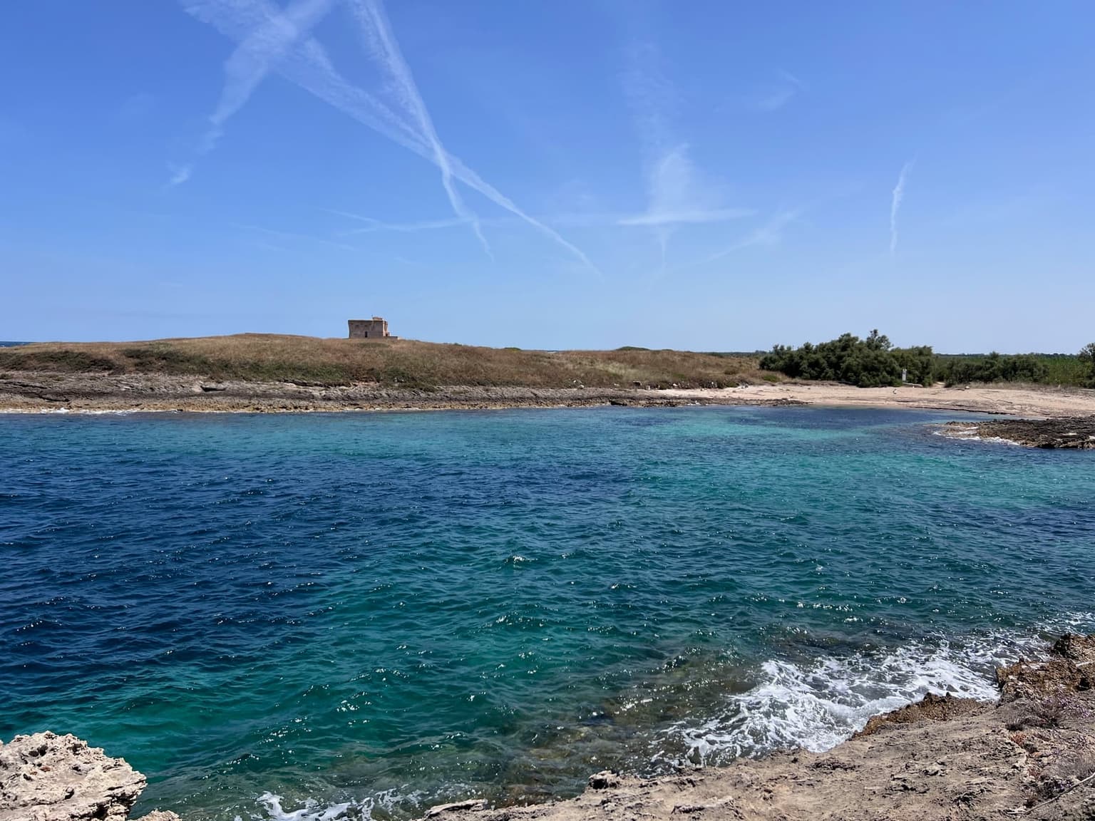 The Torre Guaceto watchtower on its headland above a sand cove in the marine reserve, with dune scrub in the foreground