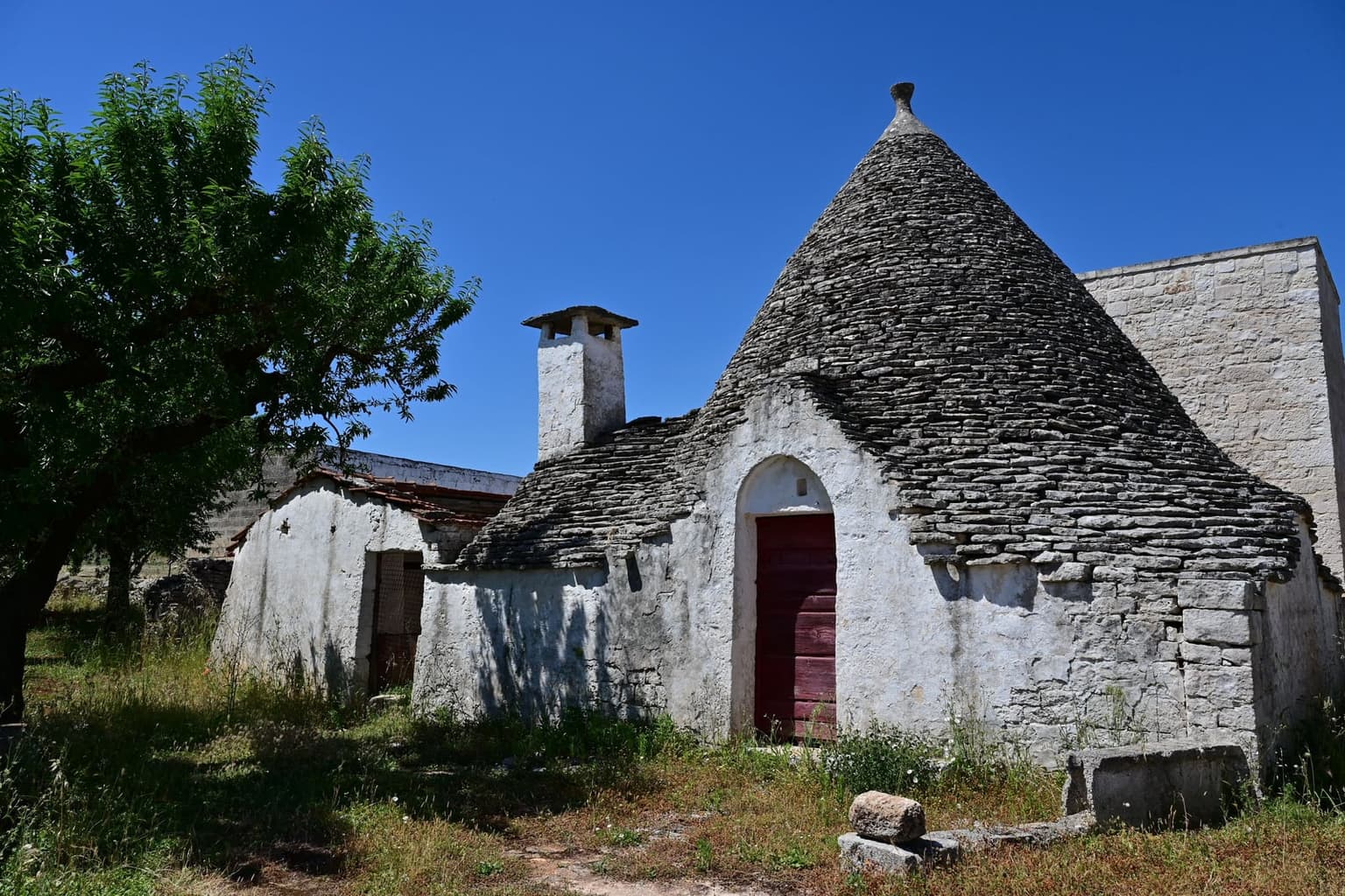A whitewashed trullo with a conical roof of stacked gray stone, a red door under an arch and a squat white chimney, in long grass under a clear blue sky