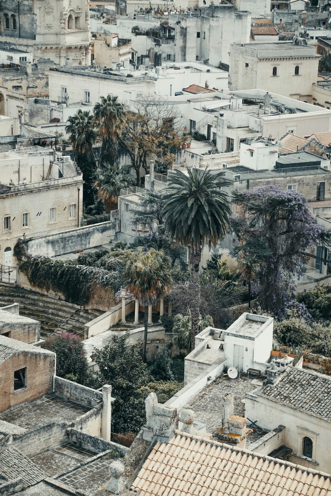 Lecce's old town from above: pale-stone rooftops and terraces, palms and a tree in purple bloom, the stone tiers of the Roman theater at lower left, and the carved top of a baroque church tower