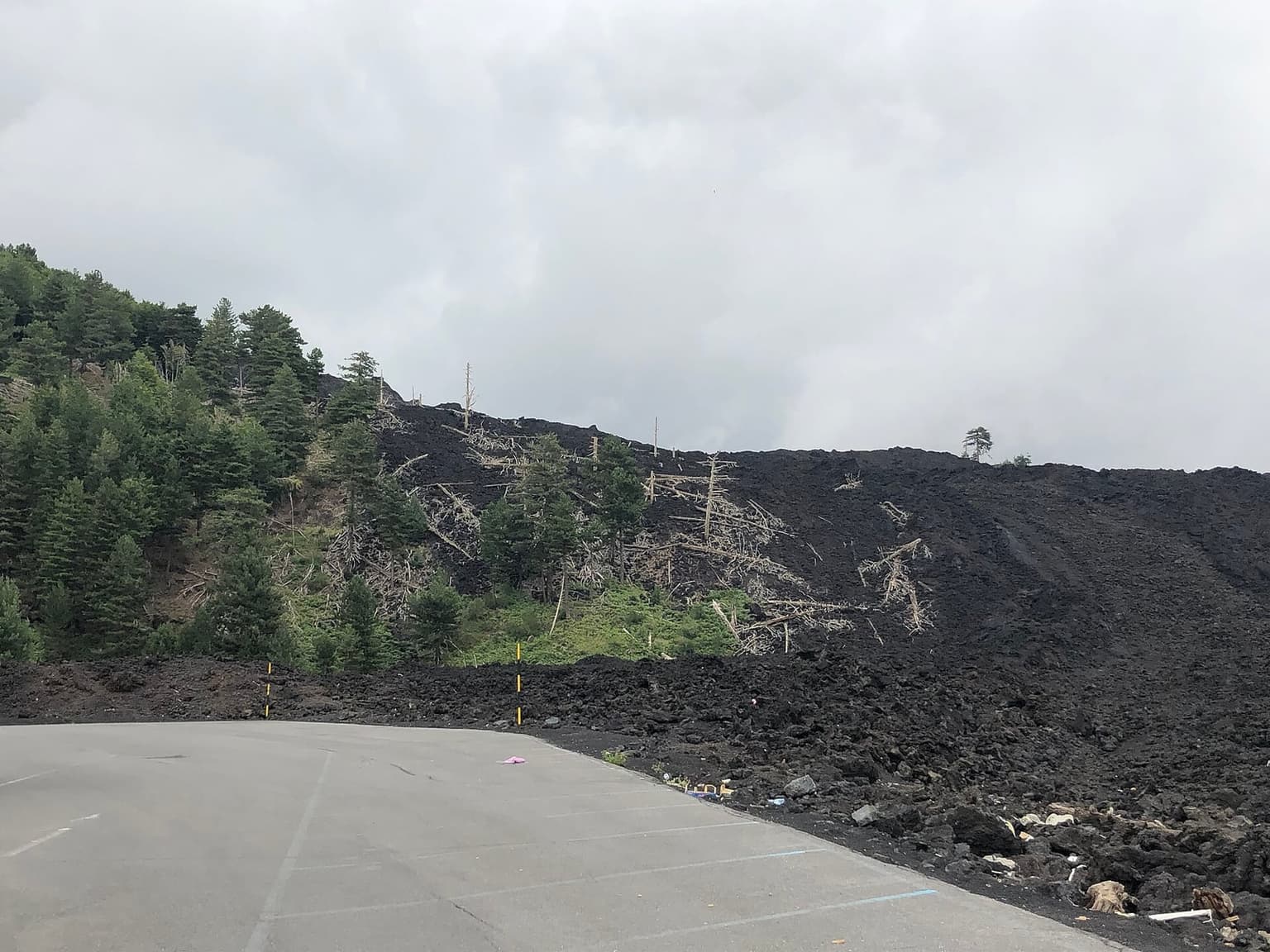 Dead standing pine trees killed by the 2002 lava flow, half-buried in black volcanic rock beside a paved area, with live green forest continuing just beyond the flow's edge.