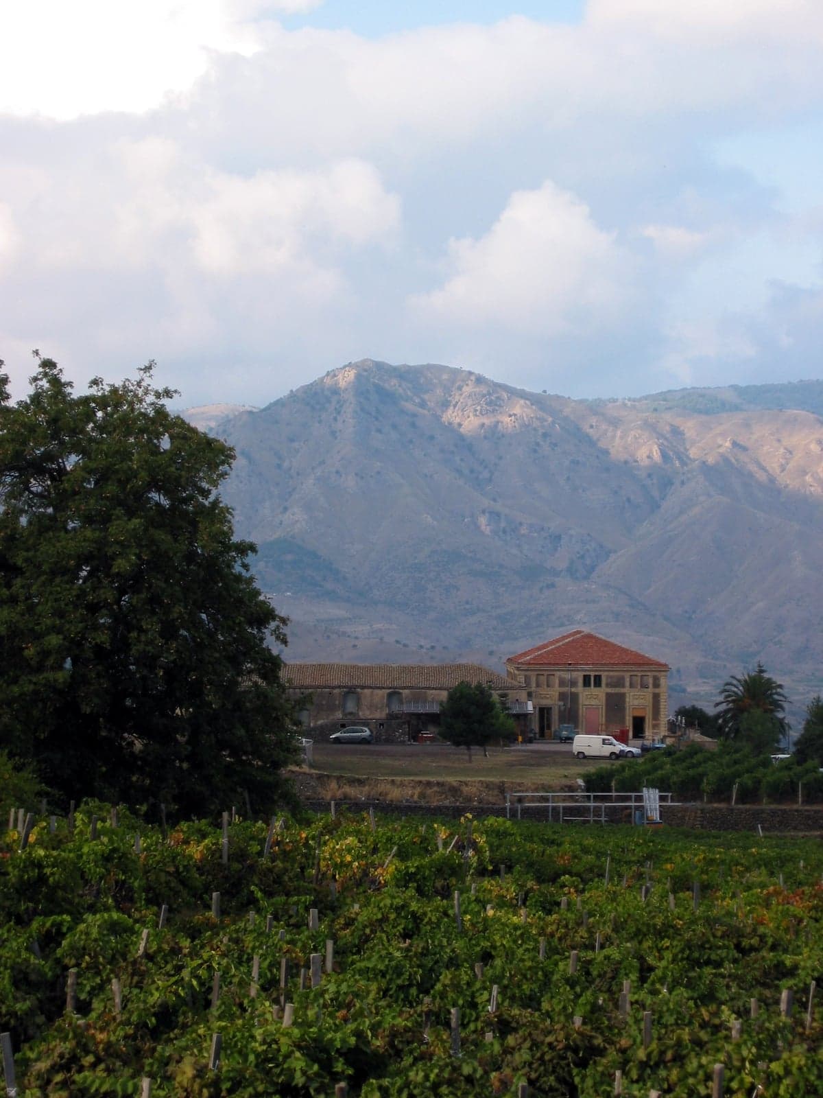 A stone wine estate building at Passopisciaro on Mount Etna's northern wine flank, with rows of vines in the foreground and the mountains behind.