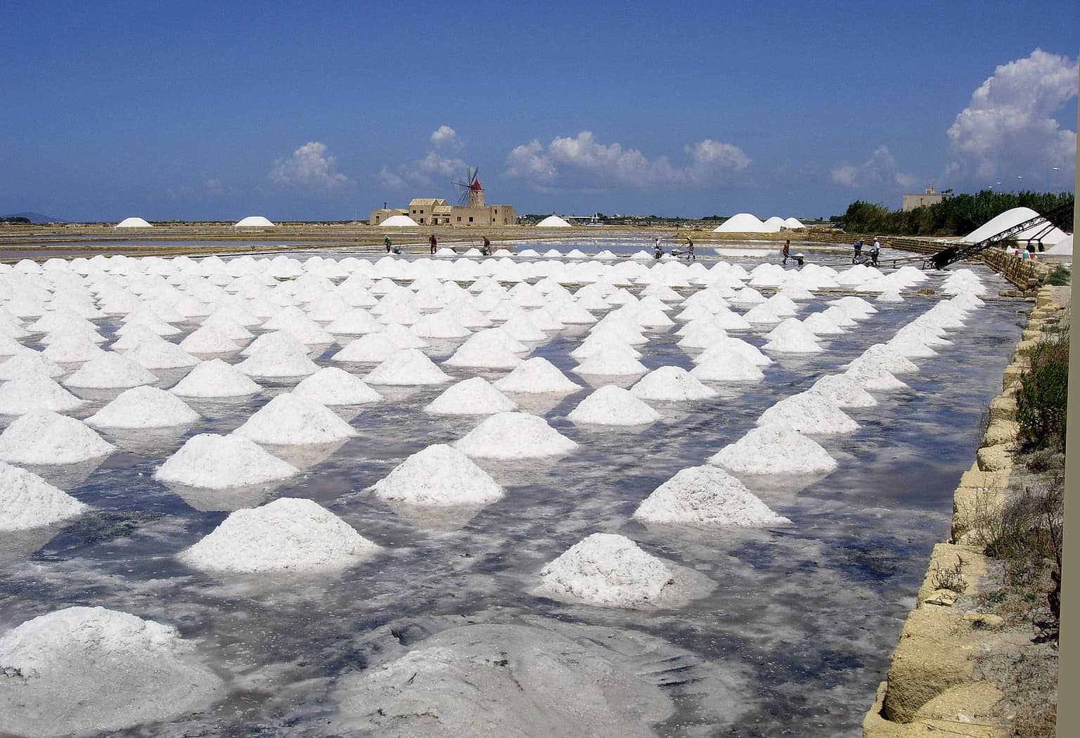 Dozens of conical white salt piles standing in ranked rows across shallow brine pools at the Saline Ettore e Infersa reserve, workers with wheelbarrows harvesting among them, and a windmill and salt-museum building visible on the horizon