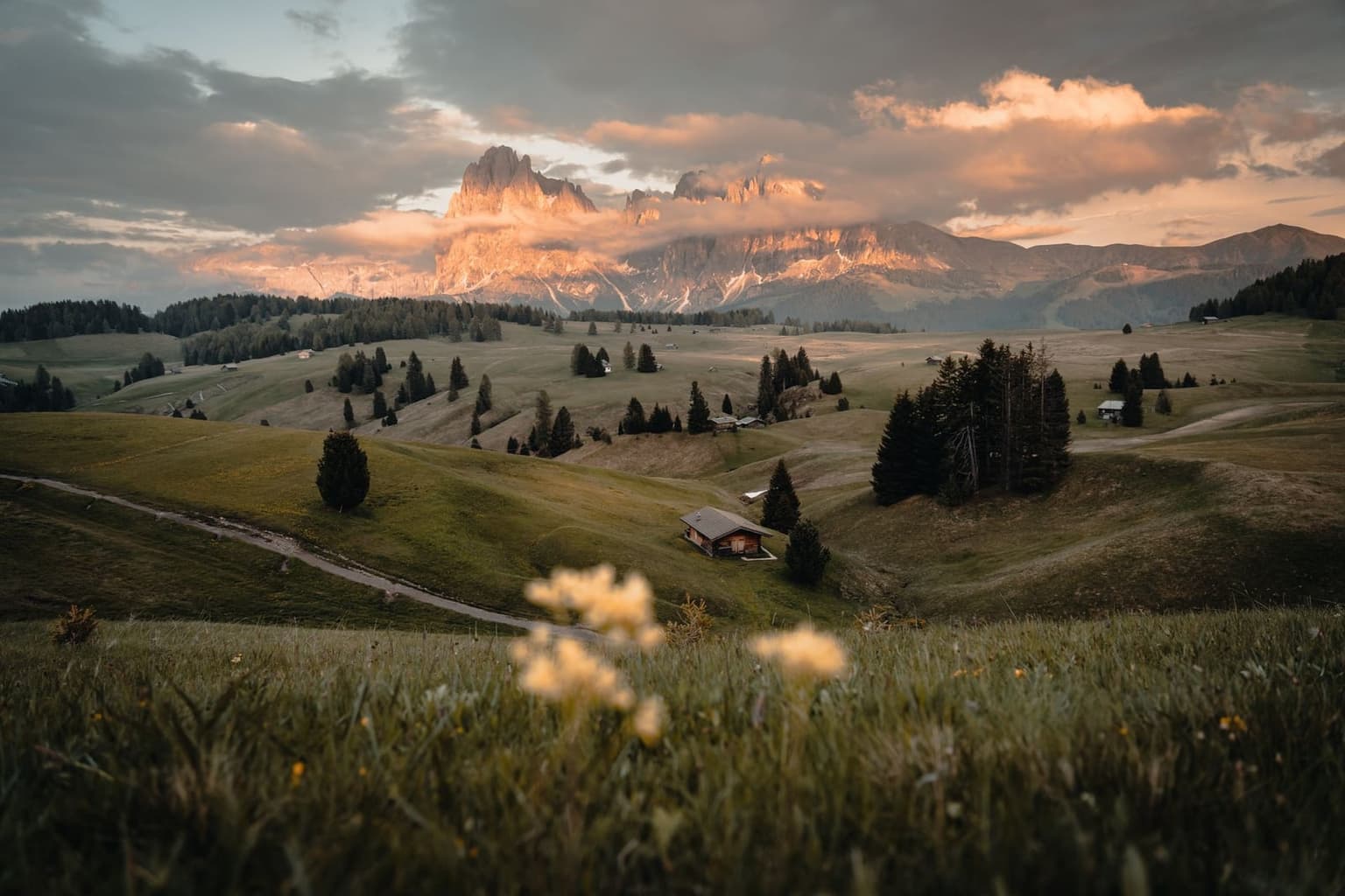 Rolling green alpine pasture on Alpe di Siusi at sunset, a small wooden hut and scattered spruce trees in the foreground, with the jagged gray spires of the Sassolungo and Sassopiatto massif lit orange in the distance under a partly cloudy sky