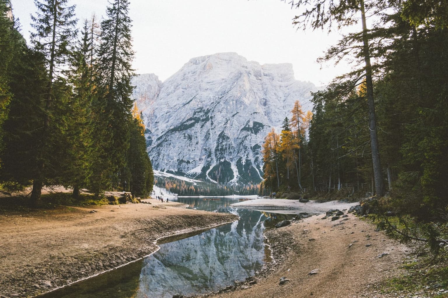 A wide gravel path forks along both banks of a shallow inlet at Lago di Braies, turquoise water between them reflecting a snow-streaked peak, dense forest lining both sides