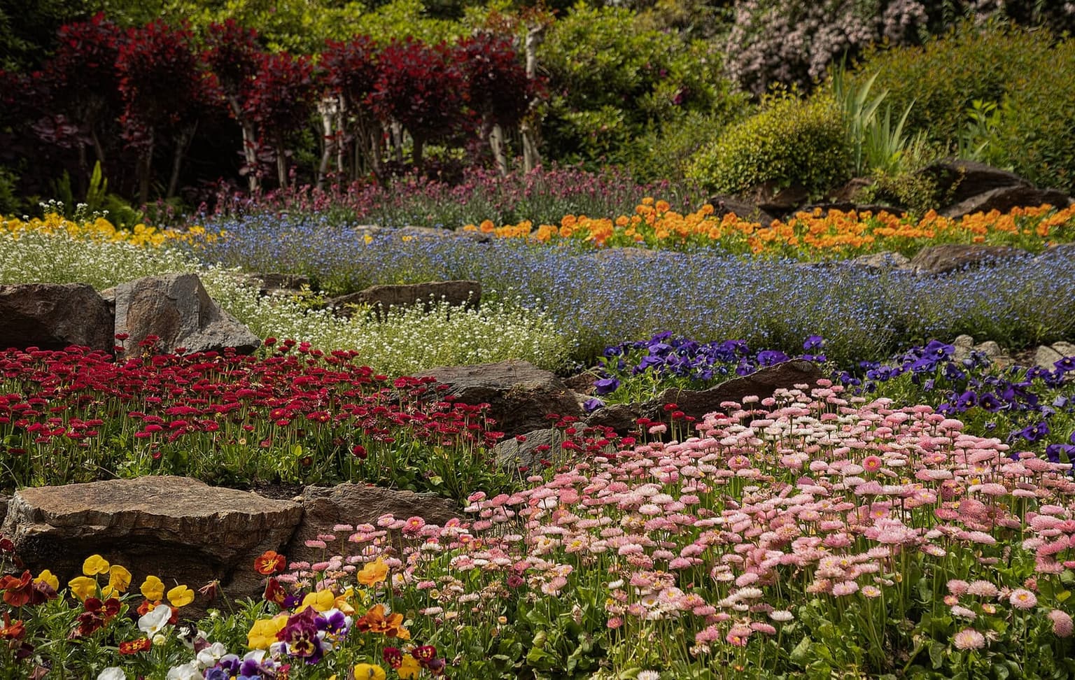 Spring flowers in full bloom in a lakeside garden on Lake Como