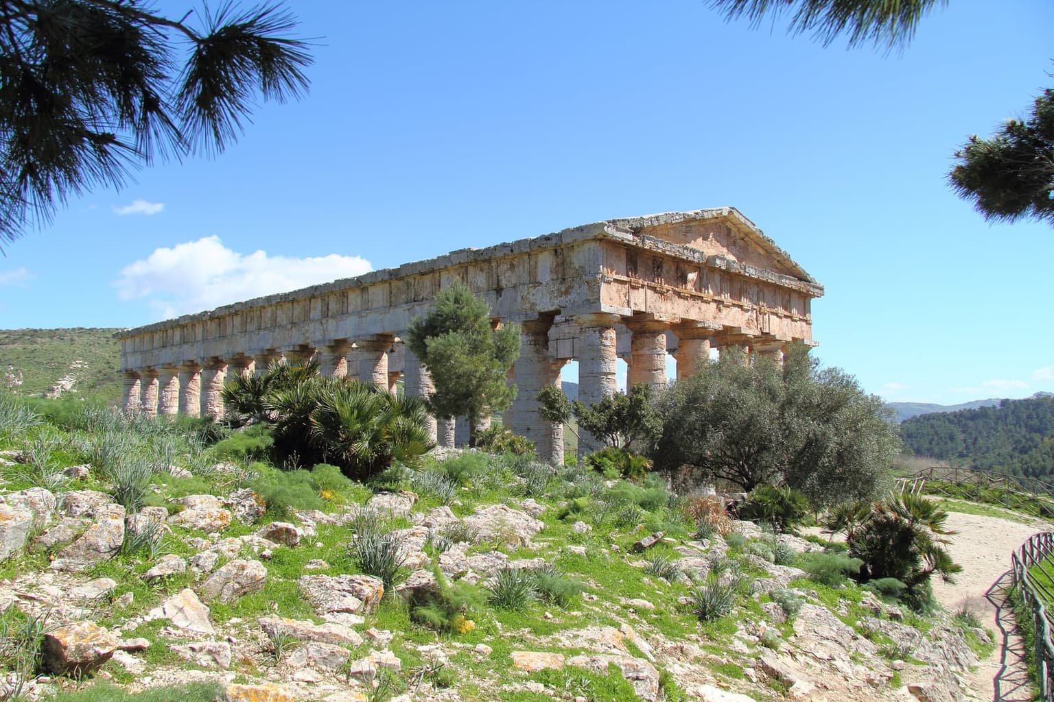 The Doric temple of Segesta standing alone and roofless on a grassy hillside, its stone columns catching the sun, with empty hills behind and no modern structures in view.